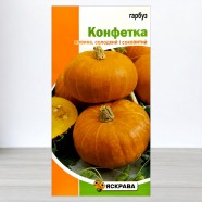 Семена тыквы Конфетка, 2г, ТМ Яскрава